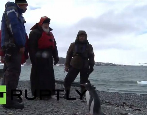 Rusi: Pre ćemo sa pingvinima, nego sa lukavim latinima!