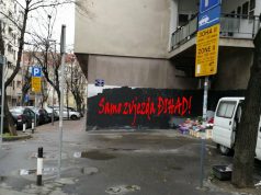 Ciganska DŽIHAD grupa uništava murale širom Beograda!
