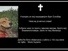 NEVEROVATNO: Čitulja za psa koji je beskrajno voleo svog gazdu!!!