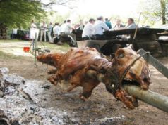Bosanci okrenuli janje u sred Sidneja, posle se pravdali da su vegani i da su samo izvodili performans!