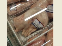 Možda spava – Na zahtev veganskog lobija trgovci od sad moraju ovako da pakuju prasad
