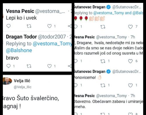 Vesna Pešić i Dragan Šutanovac obelodanili svoju vezu na Tviteru, Velja Ilić oduševljen