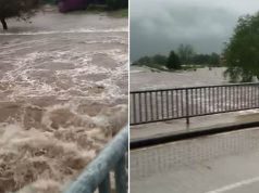 Totalno ludilo mozga: Spremni su i da potope SRBIJU samo da bi došli na vlast!