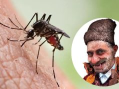 Verovali ili ne: Vampiri se bune što se komarci ne prskaju!
