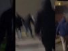 (VIDEO) U Boru nakon lokalnih izbora organizovana velika prijateljska sportska trka između blokadera i ćacija