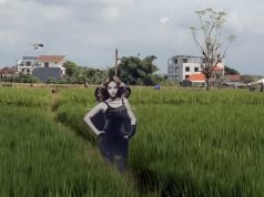 Bijonse rasteruje ptice po njivama na Baliju: VRANE PRESTRAVLJENE!