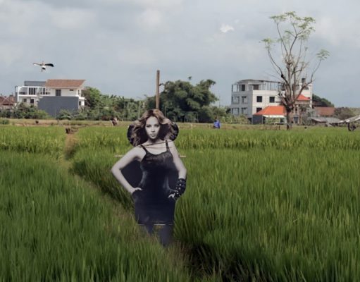 Bijonse rasteruje ptice po njivama na Baliju: VRANE PRESTRAVLJENE!