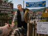 Orban bači se krije u Guči!