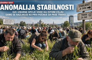ANOMALIJA STABILNOSTI: SVE IZBORNE OPCIJE VODE KA ISTOM CILJU, SAMO SE RAZLIKUJE KO PRVI POČINJE DA PASE TRAVU