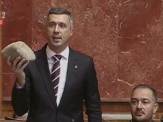 Boško Obradović je potomak Tarabića, utvrđeno u Narodnoj skupštini
